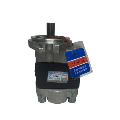 H25S7-10011 CBHZ-F31.5-AL2L हेली ब्लैक मशीनरी मरम्मत कार्यशालाओं के लिए हाइड्रोलिक पंप