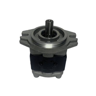 H25S7-10011 CBHZ-F31.5-AL2L हेली ब्लैक मशीनरी मरम्मत कार्यशालाओं के लिए हाइड्रोलिक पंप